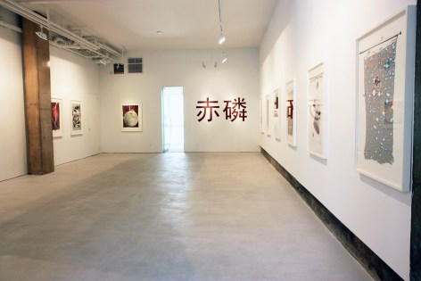 Phosphorous Red: , Installation view