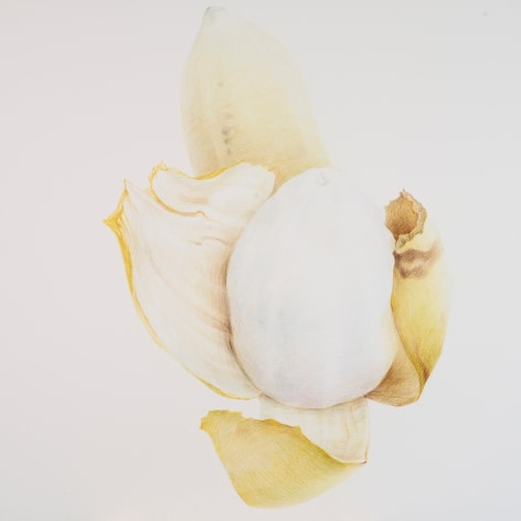 Zhang Dun 张盾, Banana 2 香蕉 2