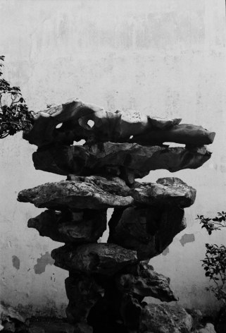 Hong Lei 洪磊, Taihu Stones 太湖石