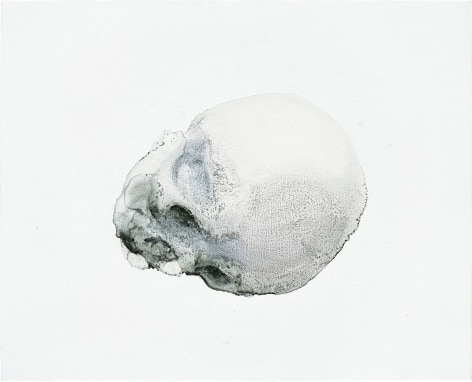 Skull No.1 骷髅 No.1, 2009