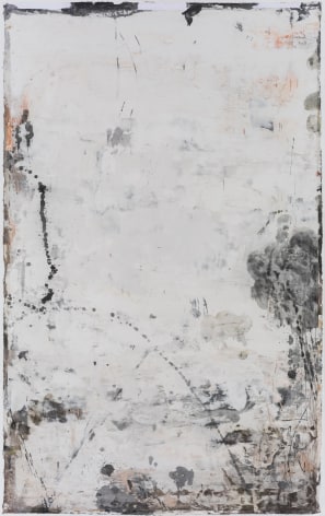 Yan Shanchun 严善錞 (b. 1957)