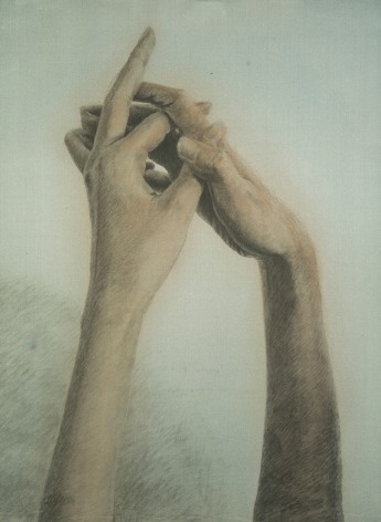 Botticelli- Hands 波提切利的手, 2012