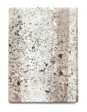 Antonia Kuo (1987), Carpet Beetle, 2021