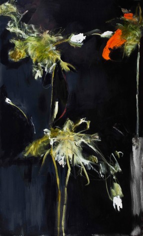 Foliage in Darkness Series (Orange Flower, Green Stem), 2007