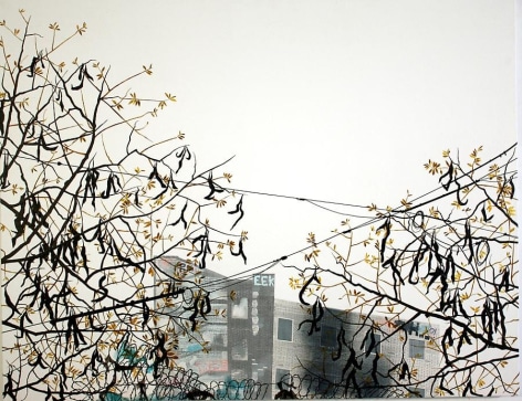 Erik Benson Seedless, 2009