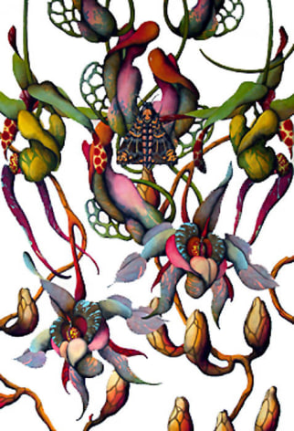 Miron Schm&uuml;ckle Botanical Archives (out of my brain) 27-07, 2007