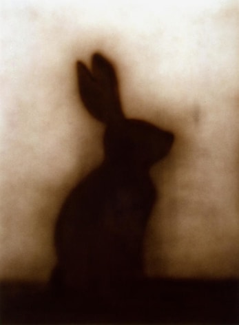 Ed Ruscha Bunny, 1986