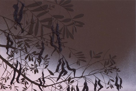 Untitled (tree study, night), 2009