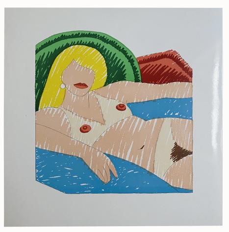 Tom Wesselmann, Shiny Nude, Alternate Projects