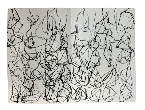 Brice Marden