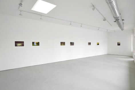 Installation View Sublunary World