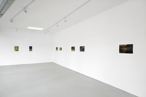 Installation View Sublunary World