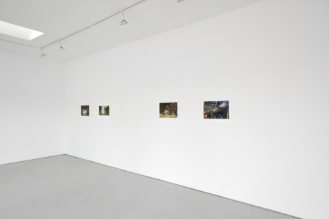 Installation View Sublunary World