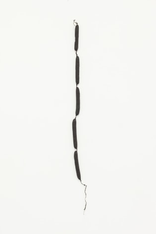 F.T.C.T.N.F. (academic sausages), 2016