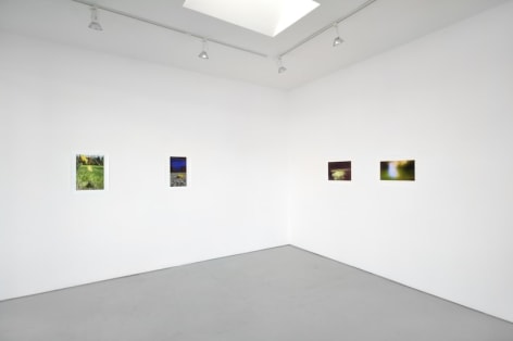 Installation View Sublunary World