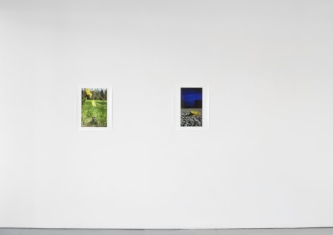 Installation View Sublunary World