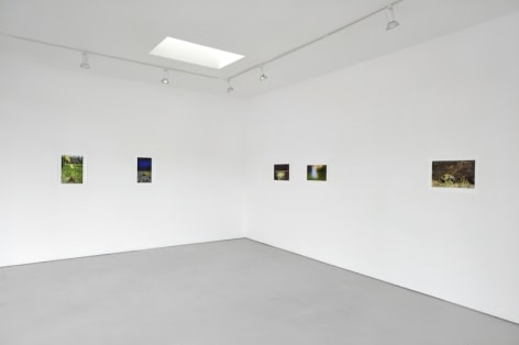 Installation View Sublunary World