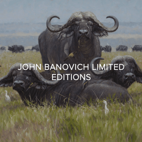 You GIVE BACK when you collect Banovich Wild Accents - SHOP LIMITED EDITION GICLEES