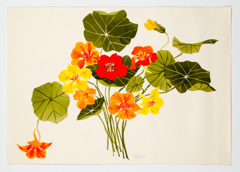 Untitled, from the &quot;Florals&quot; series [058], c. 1978, Watercolor On Paper