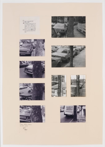 Trees - Walham Grow Road - London, 1983, Photographs and original text on paperboard