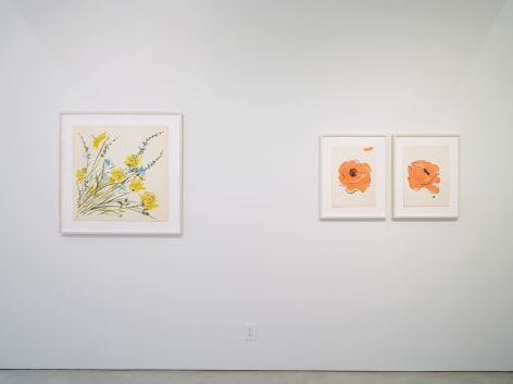 Vera Paints a Summer Bouquet, installation view, Alexander Gray Associates, 2014