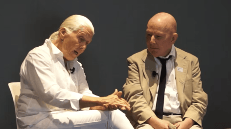 Harmony Hammond in conversation with Holland Cotter (2019).&nbsp;