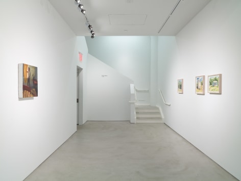 Hugh Steers: Day Light, installation view, Alexander Gray Associates, 2015
