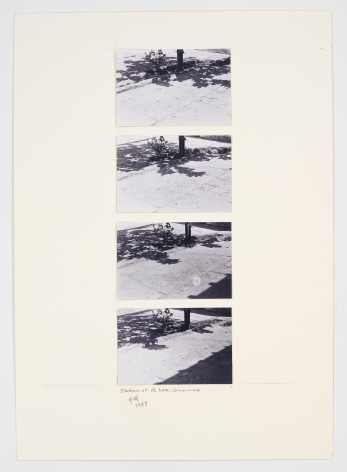 Shadows of Al Loz, 1983, Photographs on paperboard in 4 parts