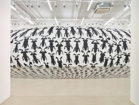 Regina Silveira, installation view, Alexander Gray Associates, 2016