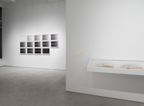 Luis Camnitzer: Short Stories, installation view, Alexander Gray Associates (2017)