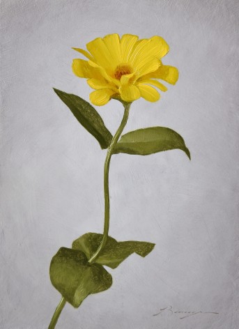 yellow flower painting by Piper Bangs titled Yellow Zinnia II, oil on panel, 7 x 5 inches
