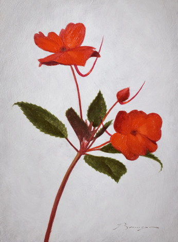 Red Flower painting by Piper Bangs titled Orange New Guinea Impatiens II, oil on panel, 7 x 5 in