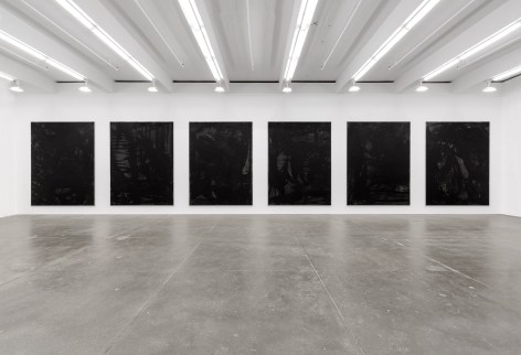 Somewhere Some Pictures Sometimes, Andrew Kreps Gallery, New York