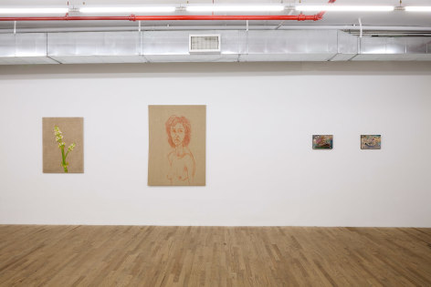 Installation view, Marcia Schvartz,&nbsp;Works, 1976 &ndash; 2018, Andrew Kreps Gallery, New York