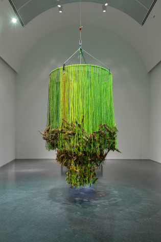 Andrea Bowers Memorial to Arcadia Woodlands Clear-Cut, 2013