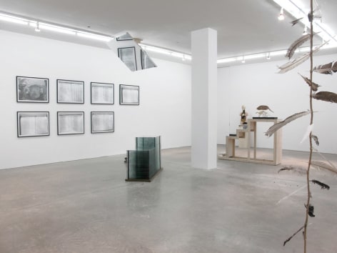 If You Leave Me I&#039;m Not Following,&nbsp;Andrew Kreps Gallery, New York, February 18 - March 24, 2012