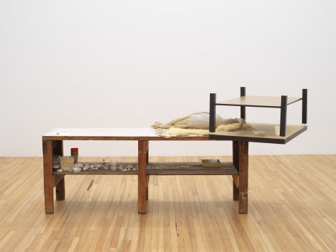 Liz Magor 