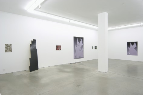 Andrew Kreps Gallery, New York, June 23 - July 20, 2007