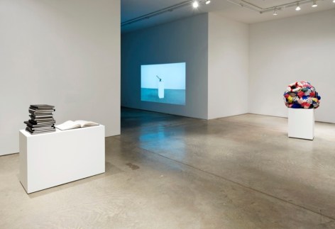 Andrew Kreps Gallery, New York, February 18 - March 20, 2010