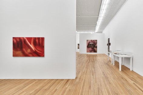 Harold Stevenson April 29 - May 31, 2025, Andrew Kreps Gallery, 22 Cortlandt Alley, New York