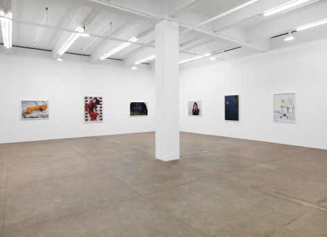 Sacrifice Your Body, Andrew Kreps Gallery, New YorkFebruary 22 - March 29, 2014&nbsp;