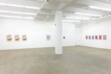Andrew Kreps Gallery, New York&nbsp;​September 12th - November 2nd, 2013