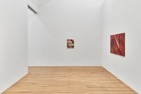 Harold Stevenson April 29 - May 31, 2025, Andrew Kreps Gallery, 22 Cortlandt Alley, New York