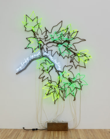 Andrea Bowers, Ecofeminist Sycamore Branches: My Body Is Not for the Taking, 2019