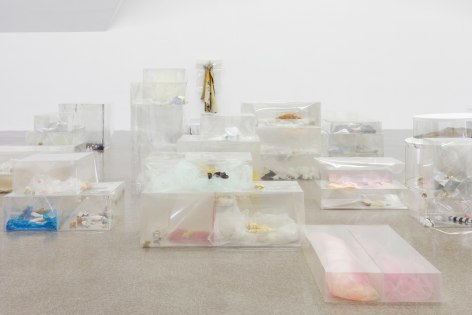 Liz Magor Pet Co., 2018