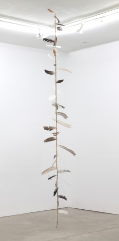 Klaus Weber Witches&rsquo; Ladder, 2011