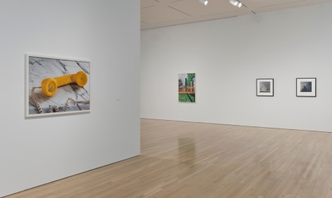 Perfect Likeness: Photography and Composition, Hammer Museum, Los Angeles