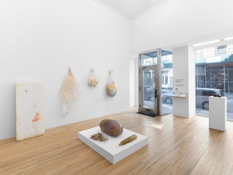 Barbara T. Smith,&nbsp;Holy Squash, March 25 - May 7, 2022, 394 Broadway, Andrew Kreps Gallery, New York