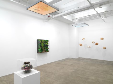 Michel Blazy, Piero Gilardi, Tetsumi Kudo, Anicka Yi,&nbsp;Andrew Kreps Gallery, New YorkOctober 27 - January 6, 2018