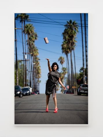 Andrea Bowers Throwing Bricks (Johanna Wallace) (in collaboration with Ada Tinnell), 2016